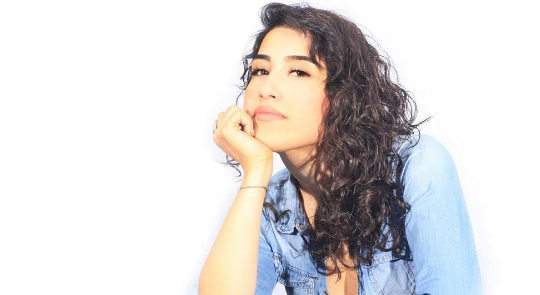 istanbullu gelin dilara