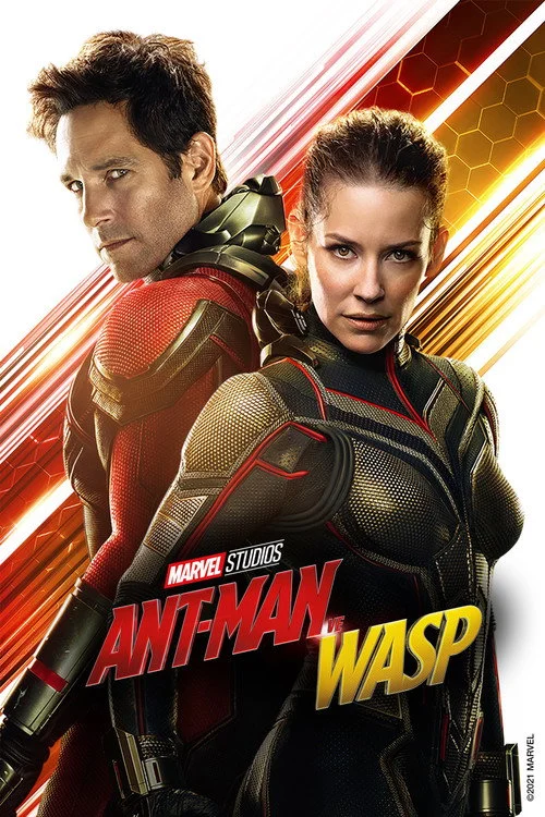 Ant-Man ve Wasp Filmi