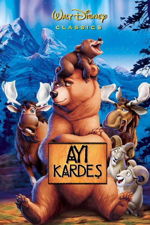 Ayı Kardeş Filmi