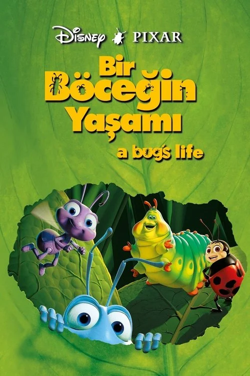 Bir Böceğin Yaşamı Filmi