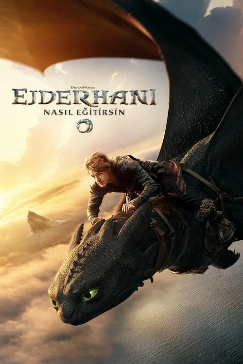 Ejderhanı Nasıl Eğitirsin Filmi