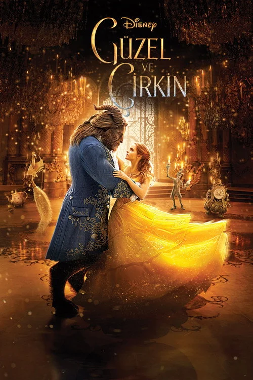 Güzel ve Çirkin Filmi