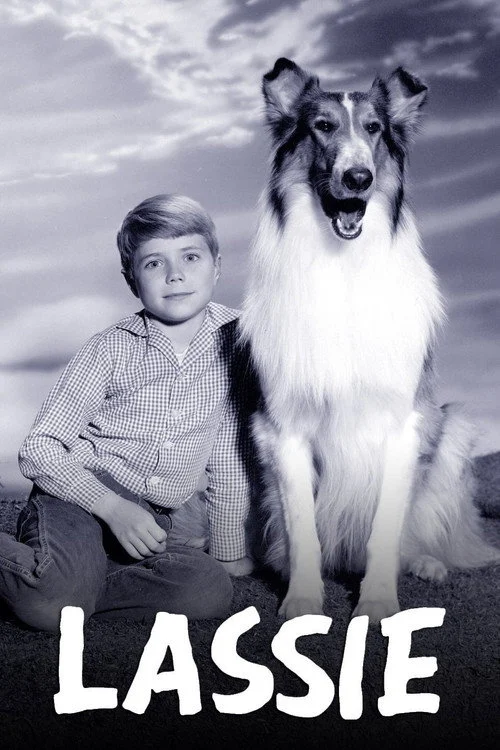 Lassie izle