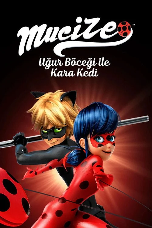 Mucize: Uğur Böceği ile Kara Kedi Dizisi