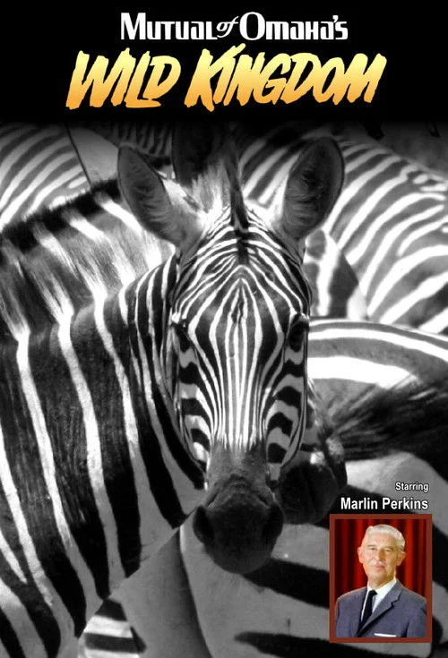 Mutual of Omaha's Wild Kingdom izle