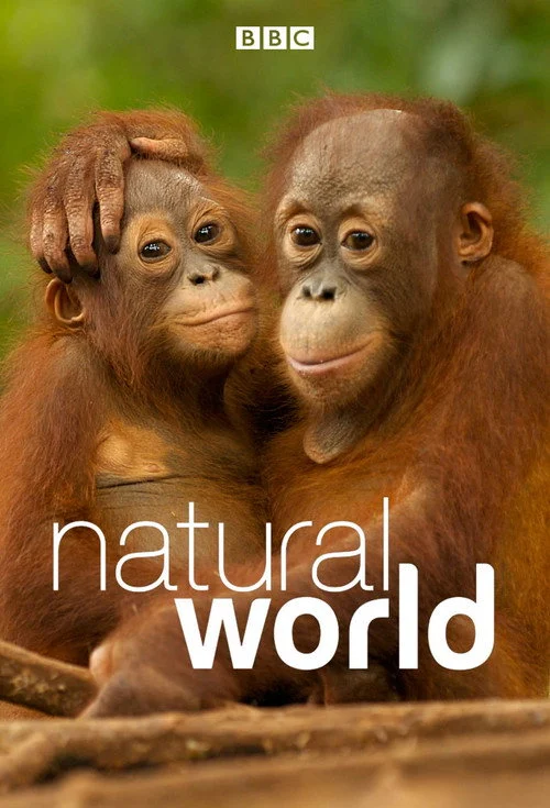 Natural World izle