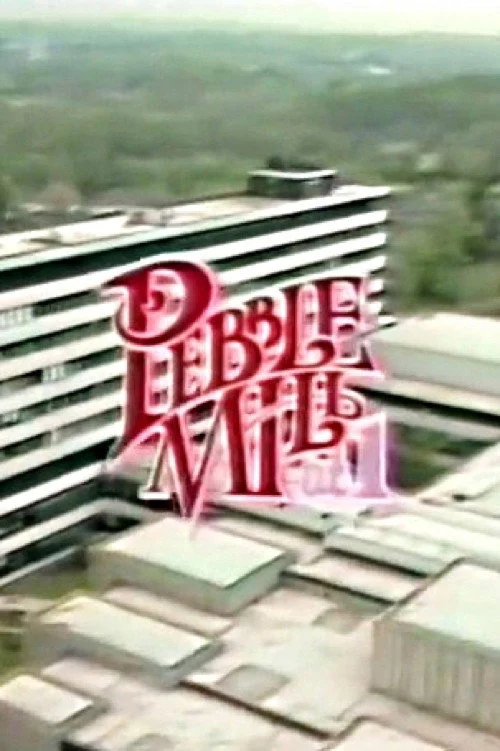 Pebble Mill at One izle