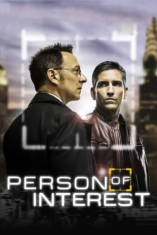 Person of Interest Dizisi