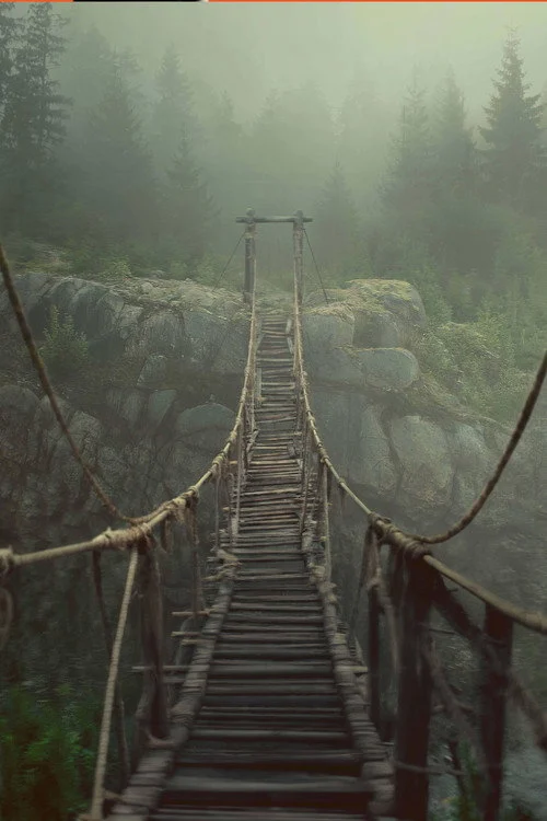 The Weight izle