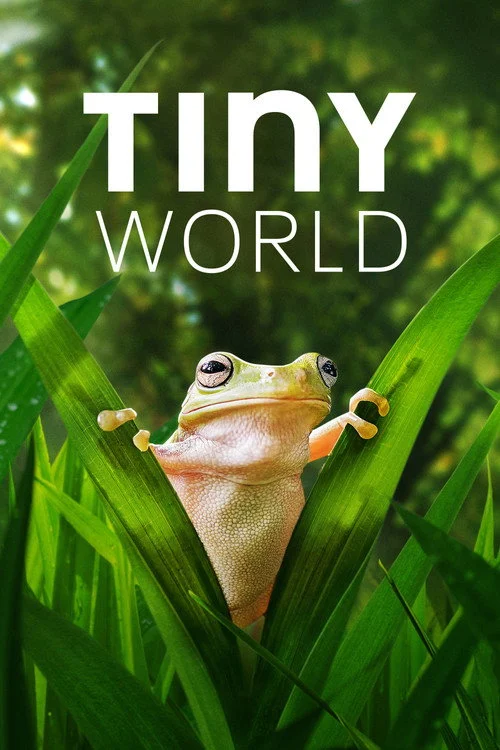 Tiny World izle