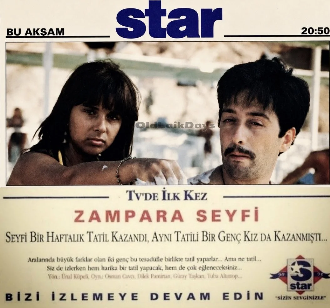 Dilek Pamirtan